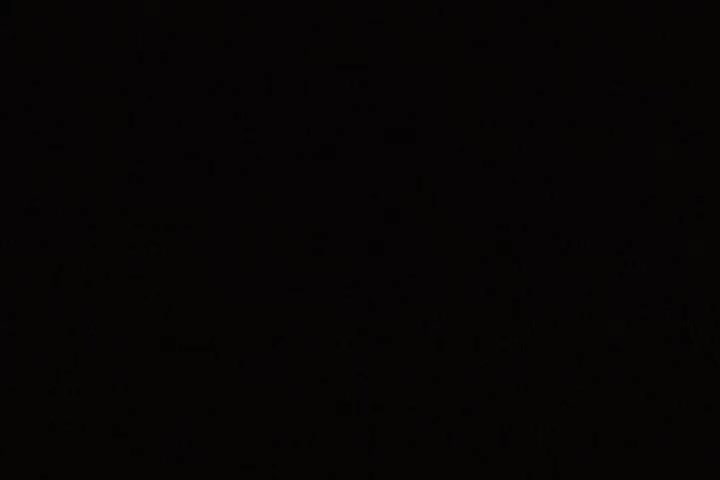 Prurient Ashlynn and Mark's blonde trailer